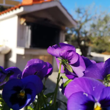 Apartamento With Parking Space - 18045 *