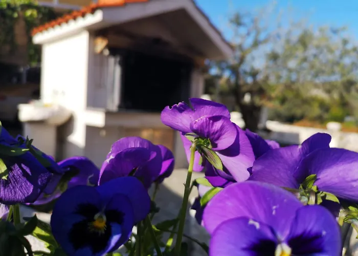 Appartement With Parking Space - 18045 *